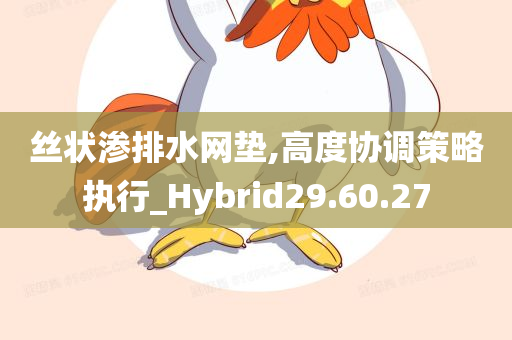 丝状渗排水网垫,高度协调策略执行_Hybrid29.60.27