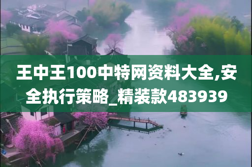 王中王100中特网资料大全,安全执行策略_精装款483939