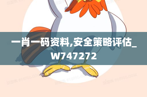 一肖一码资料,安全策略评估_W747272