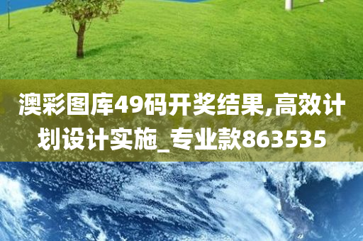 澳彩图库49码开奖结果,高效计划设计实施_专业款863535