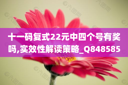 十一码复式22元中四个号有奖吗,实效性解读策略_Q848585