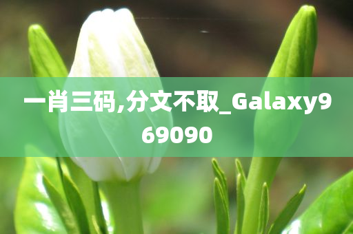 一肖三码,分文不取_Galaxy969090