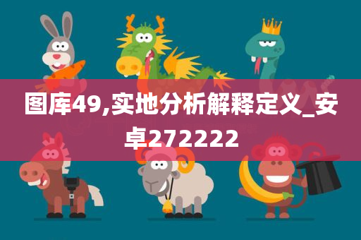 图库49,实地分析解释定义_安卓272222