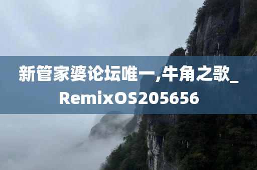 新管家婆论坛唯一,牛角之歌_RemixOS205656