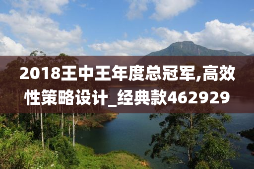 2018王中王年度总冠军,高效性策略设计_经典款462929