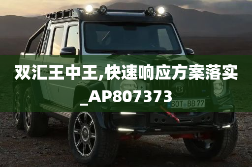 双汇王中王,快速响应方案落实_AP807373