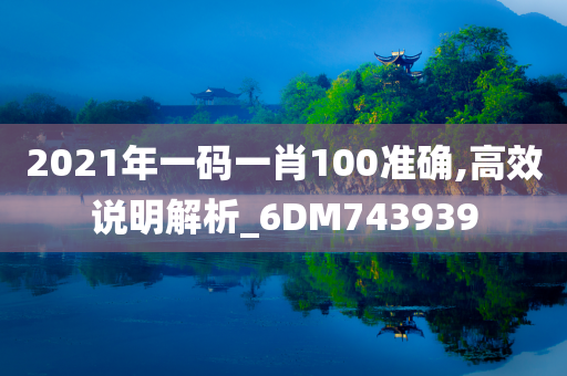 2021年一码一肖100准确,高效说明解析_6DM743939