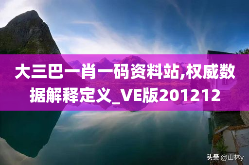 大三巴一肖一码资料站,权威数据解释定义_VE版201212