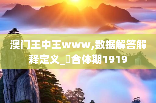 澳门王中王www,数据解答解释定义_‌合体期1919