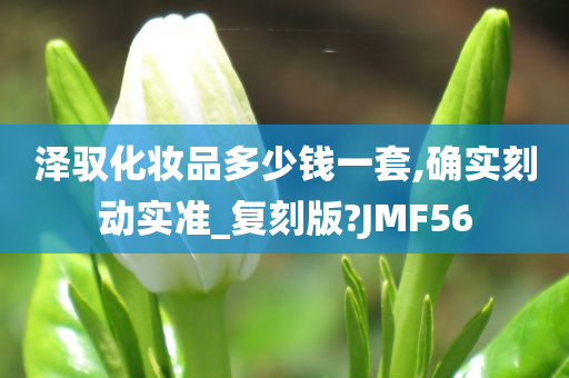 泽驭化妆品多少钱一套,确实刻动实准_复刻版?JMF56