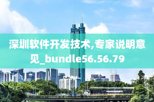 深圳软件开发技术,专家说明意见_bundle56.56.79