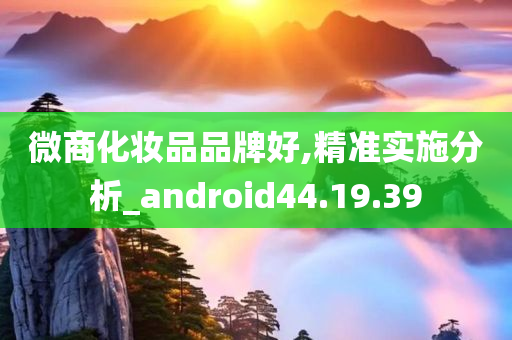 微商化妆品品牌好,精准实施分析_android44.19.39