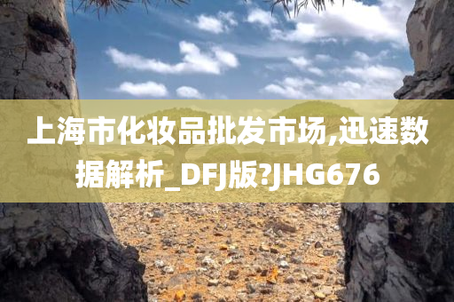 上海市化妆品批发市场,迅速数据解析_DFJ版?JHG676