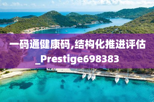 一码通健康码,结构化推进评估_Prestige698383