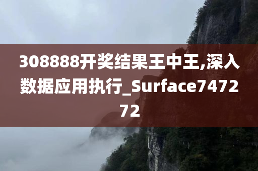 308888开奖结果王中王,深入数据应用执行_Surface747272