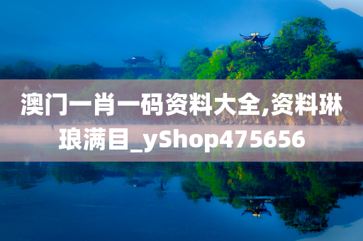 澳门一肖一码资料大全,资料琳琅满目_yShop475656