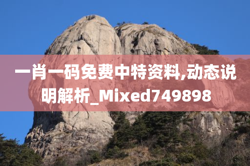 一肖一码免费中特资料,动态说明解析_Mixed749898