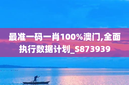 最准一码一肖100%澳门,全面执行数据计划_S873939