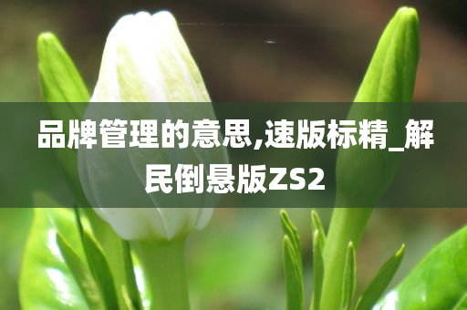 品牌管理的意思,速版标精_解民倒悬版ZS2