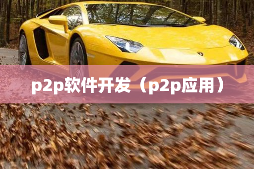 p2p软件开发（p2p应用）