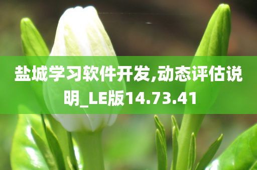 盐城学习软件开发,动态评估说明_LE版14.73.41