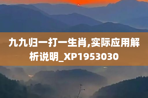 九九归一打一生肖,实际应用解析说明_XP1953030