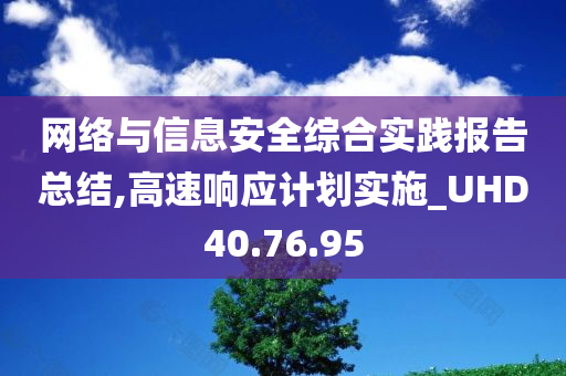 网络与信息安全综合实践报告总结,高速响应计划实施_UHD40.76.95