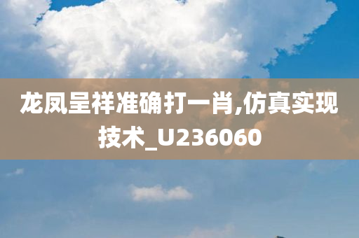 龙凤呈祥准确打一肖,仿真实现技术_U236060