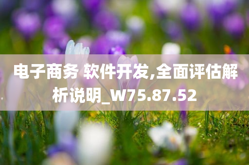 电子商务 软件开发,全面评估解析说明_W75.87.52