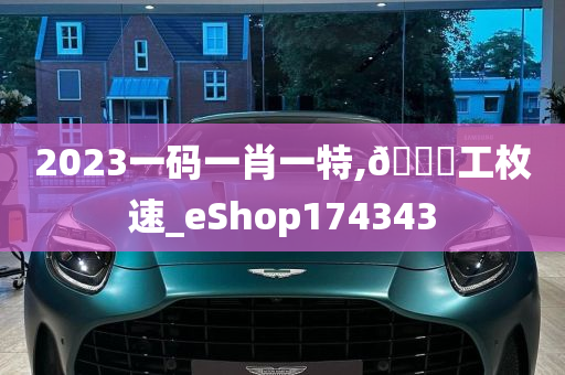 2023一码一肖一特,🐎工枚速_eShop174343