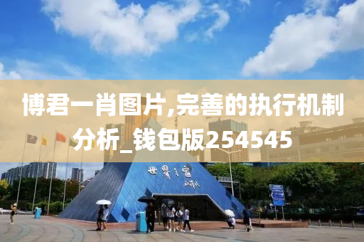 博君一肖图片,完善的执行机制分析_钱包版254545