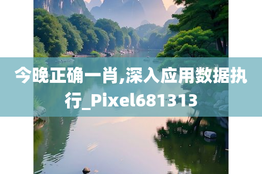 今晚正确一肖,深入应用数据执行_Pixel681313