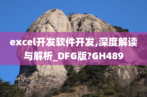 excel开发软件开发,深度解读与解析_DFG版?GH489