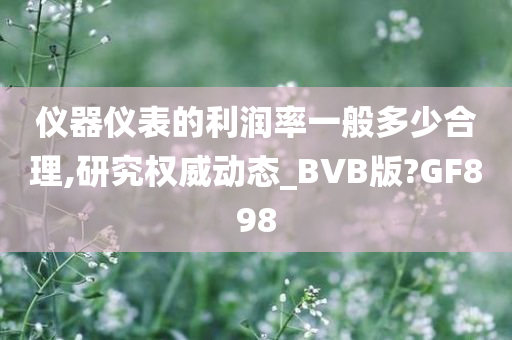 仪器仪表的利润率一般多少合理,研究权威动态_BVB版?GF898