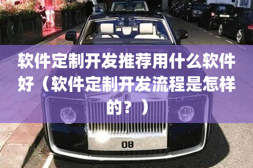 软件定制开发推荐用什么软件好（软件定制开发流程是怎样的？）