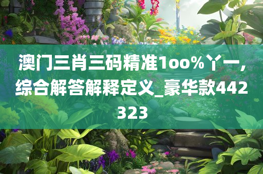 澳门三肖三码精准1oo%丫一,综合解答解释定义_豪华款442323