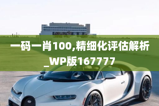 一码一肖100,精细化评估解析_WP版167777