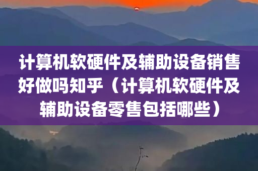 计算机软硬件及辅助设备销售好做吗知乎（计算机软硬件及辅助设备零售包括哪些）