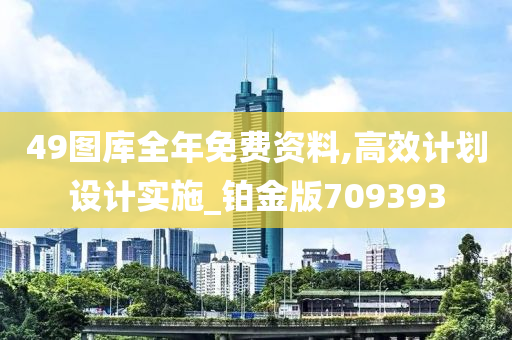 49图库全年免费资料,高效计划设计实施_铂金版709393