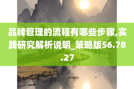 品牌管理的流程有哪些步骤,实践研究解析说明_策略版56.78.27