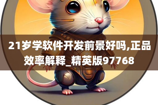 21岁学软件开发前景好吗,正品效率解释_精英版97768