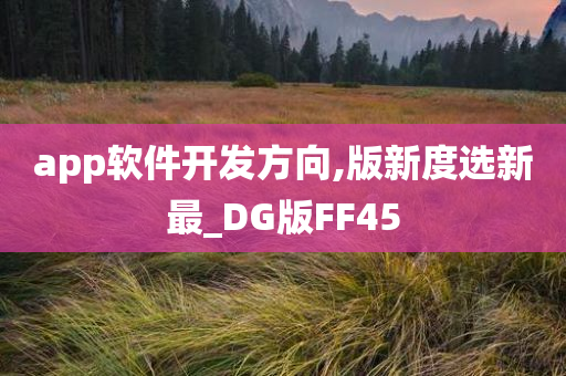 app软件开发方向,版新度选新最_DG版FF45