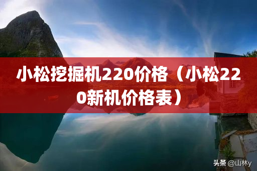 小松挖掘机220价格（小松220新机价格表）