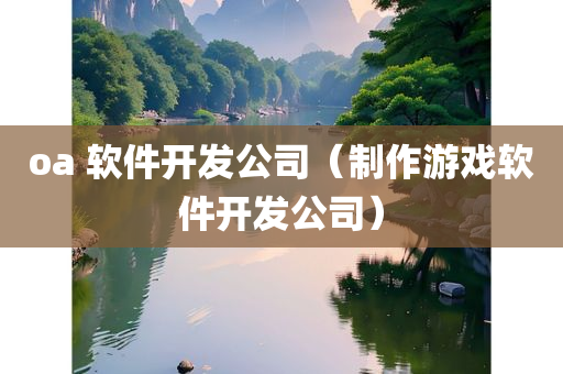 oa 软件开发公司（制作游戏软件开发公司）