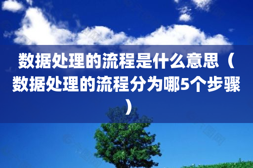 数据处理的流程是什么意思（数据处理的流程分为哪5个步骤）