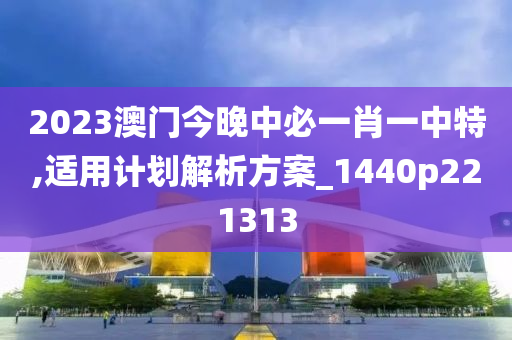 2023澳门今晚中必一肖一中特,适用计划解析方案_1440p221313