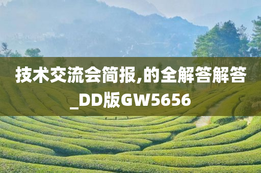 技术交流会简报,的全解答解答_DD版GW5656