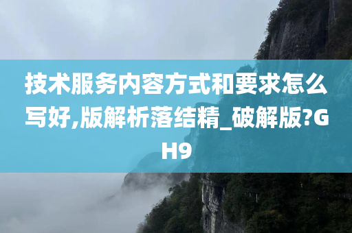 技术服务内容方式和要求怎么写好,版解析落结精_破解版?GH9