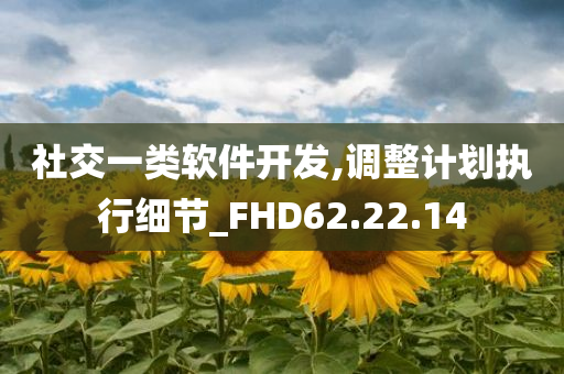 社交一类软件开发,调整计划执行细节_FHD62.22.14