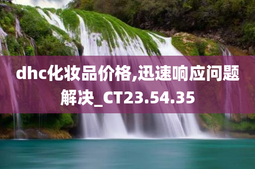 dhc化妆品价格,迅速响应问题解决_CT23.54.35